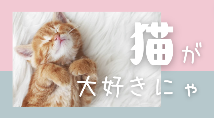 猫が大好きにゃ
